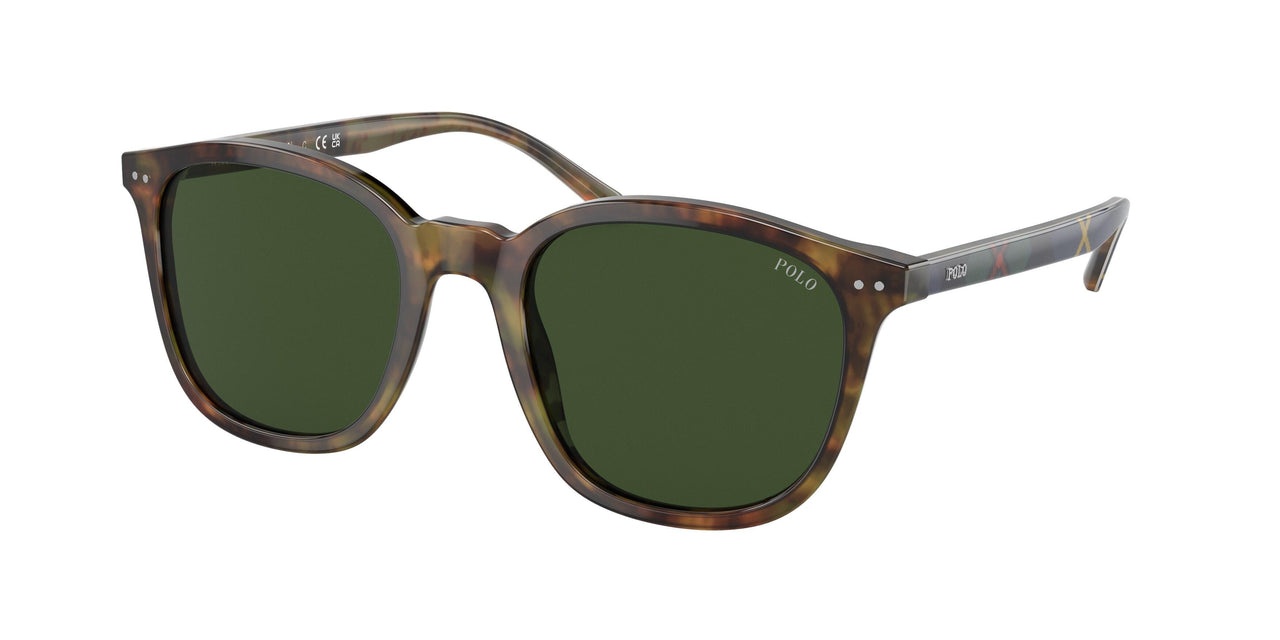 Polo 4188F Sunglasses