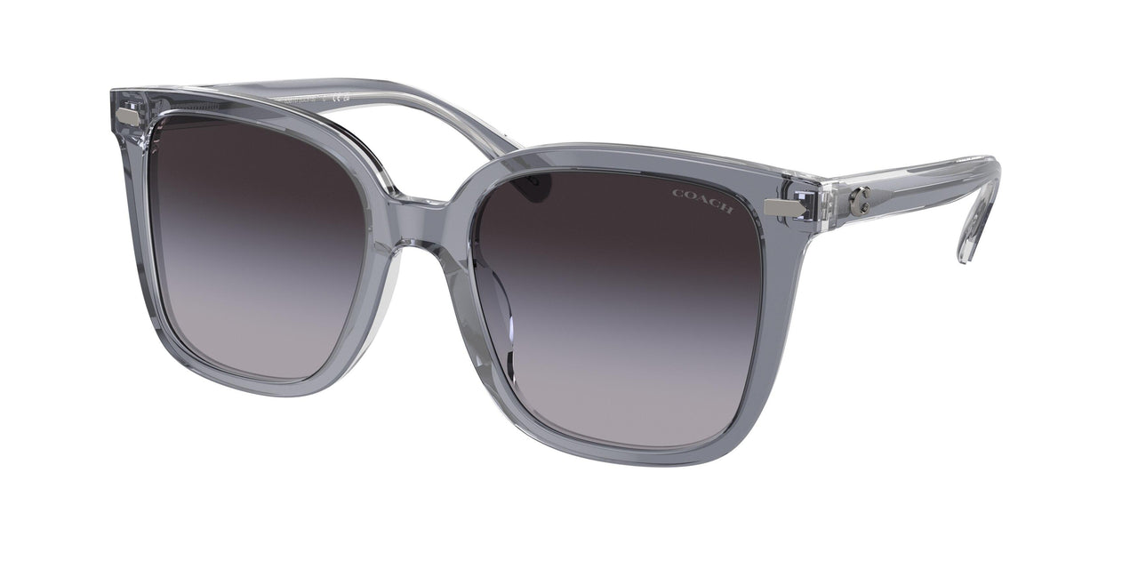 Coach Cl918 8381U Sunglasses