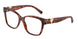 8002 - Tortoise