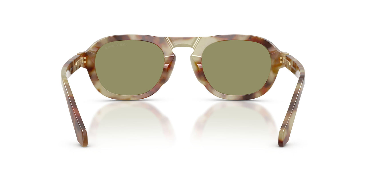 629914 - Tortoise - Green