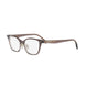 048 - Shiny Brown - DEMO