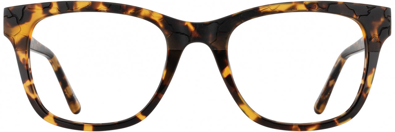 Cinzia CIN5168 Eyeglasses