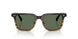 13929A - Brown - G-15 Polarized