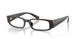 Polo 2312U Eyeglasses