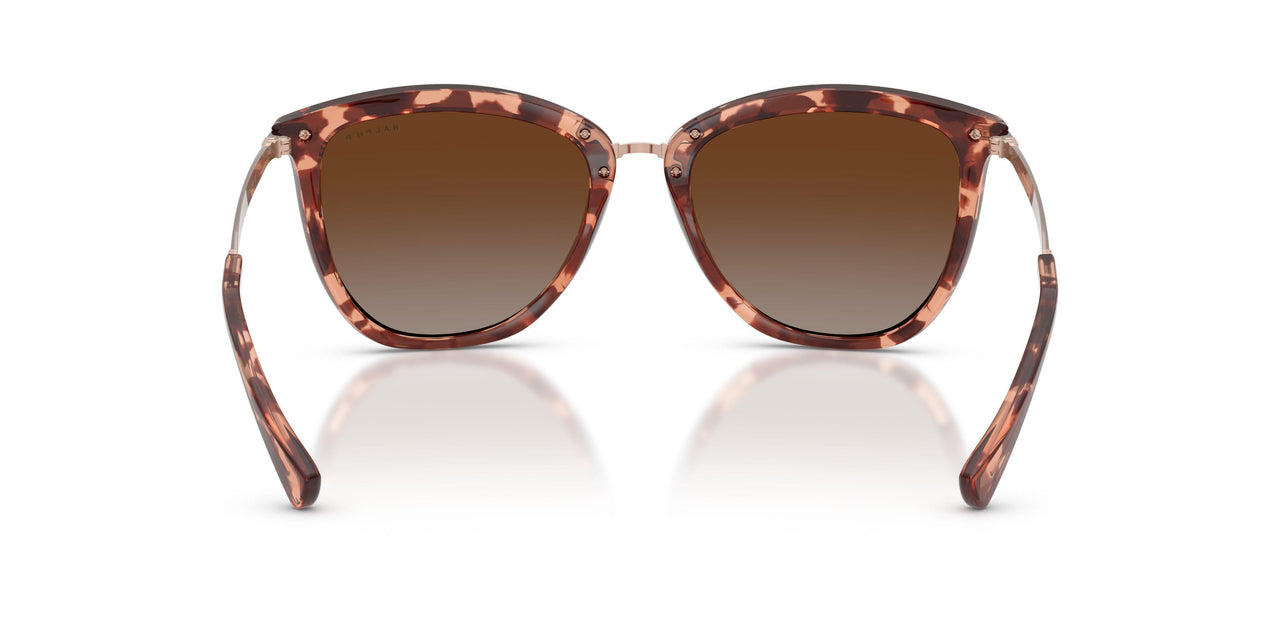 500313 - Gradient Brown
