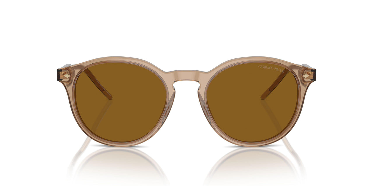 607233 - Brown - Brown