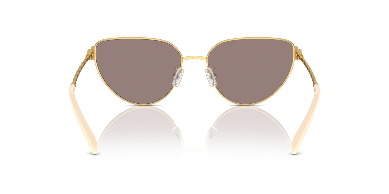 33437N - Gold - Light Purple & Brown Mirror