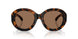 300273 - Tortoise - Brown
