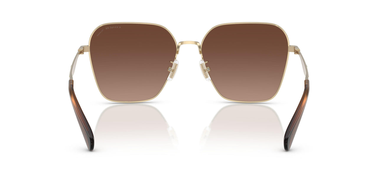 9005T5 - Gold - Brown Gradient Polar