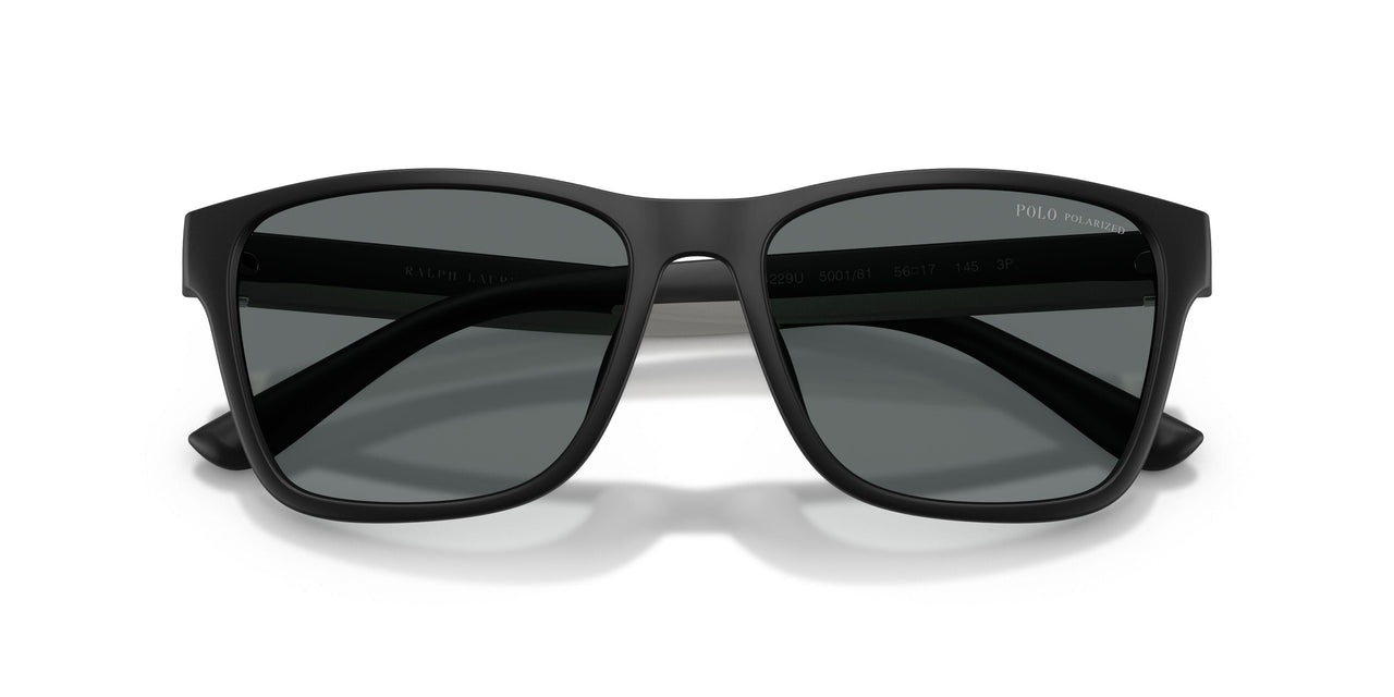 500181 - Black - Polar Dark Grey