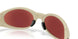 943847 - Brown - Prizm Snow Black Iridium