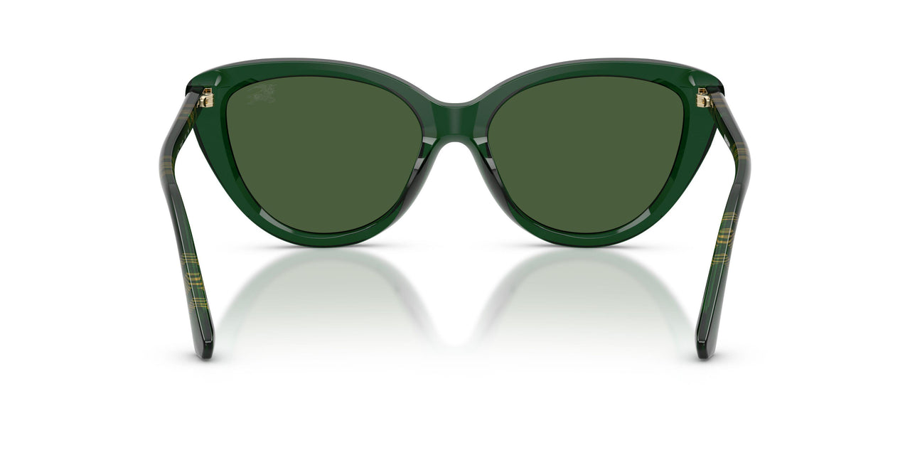 416271 - Green - Dark Green