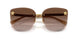 100213 - Gold - Light Brown Dark Brown Gradient
