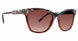 HBR - Harbor Paisley
