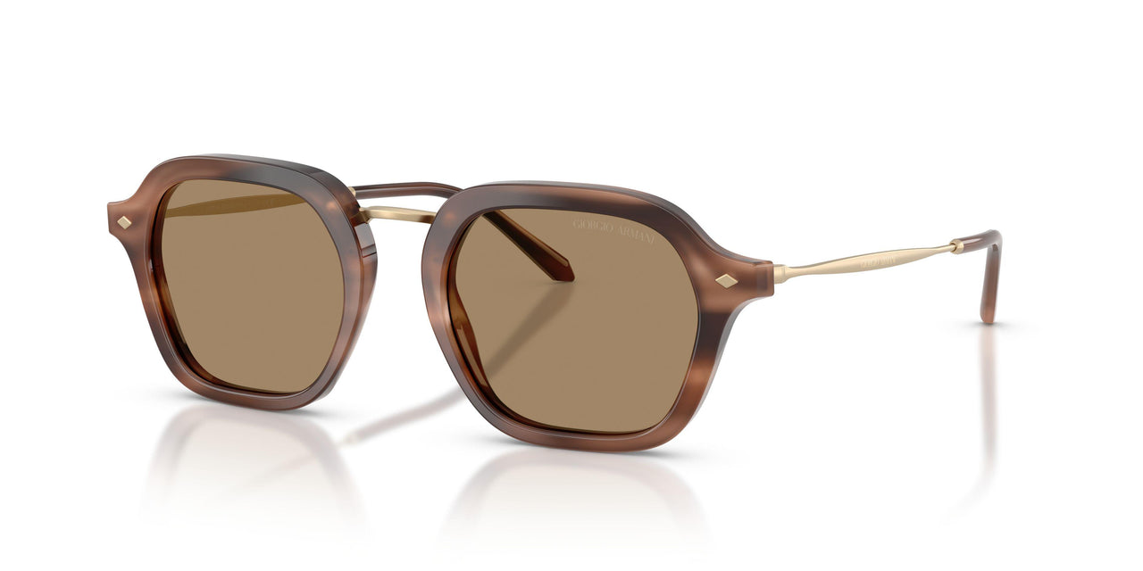 646573 - Brown - Dark Brown