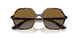 W656T5 - Havana - Polar Brown Gradient