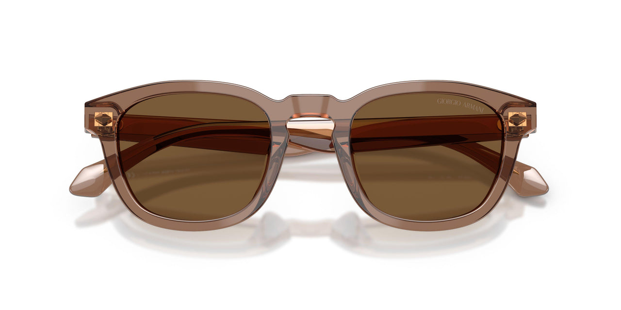 646973 - Brown - Brown