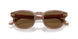 646973 - Brown - Brown