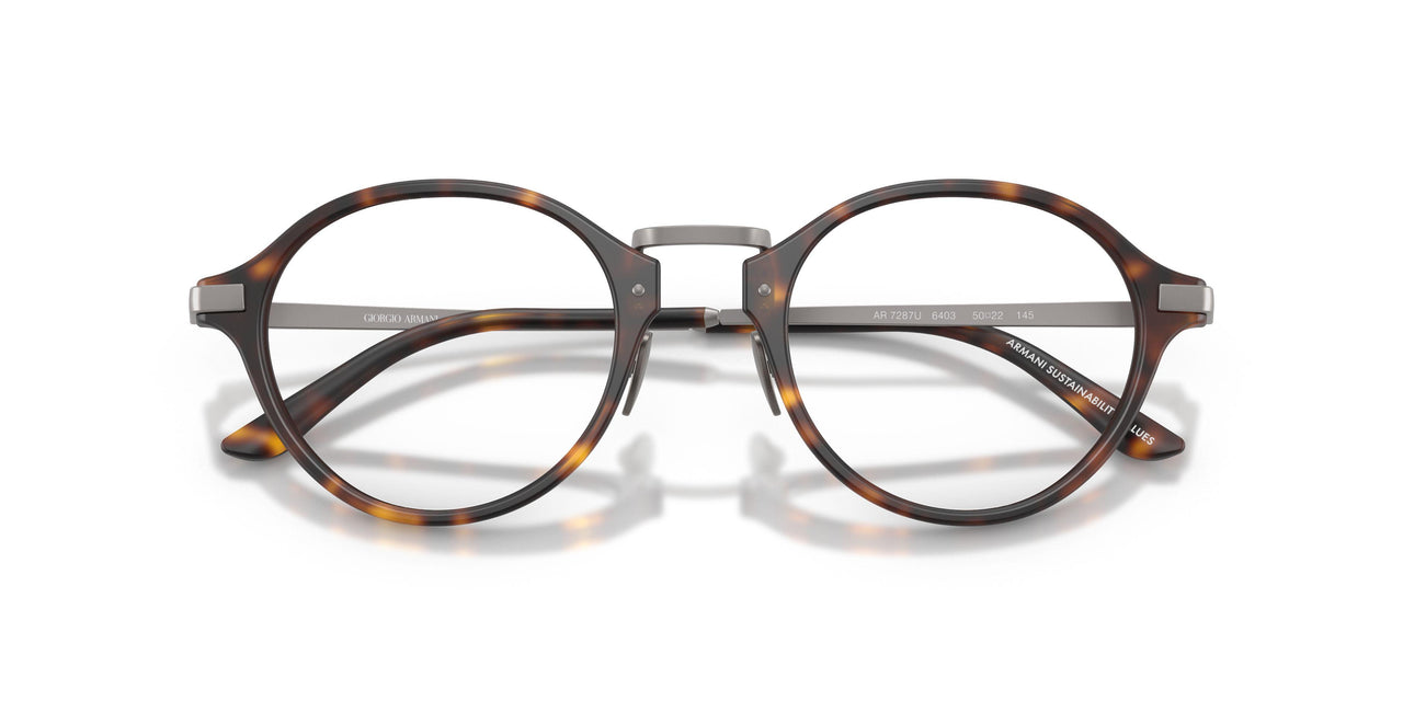 6403 - Tortoise