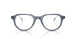 3007 - Blue