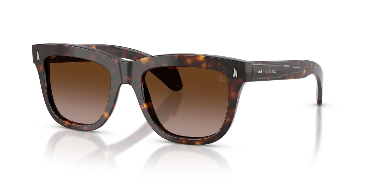 300213 - Tortoise - Gradient Brown
