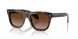 300213 - Tortoise - Gradient Brown