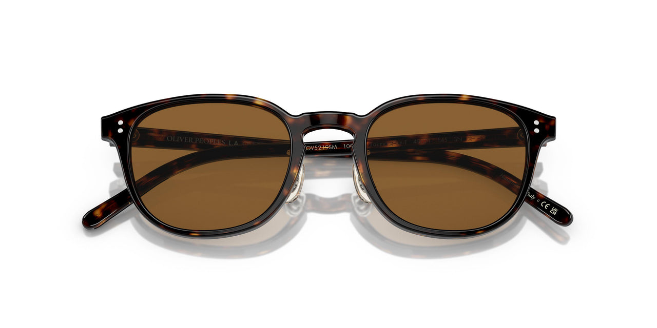 100953 - Tortoise - True Brown