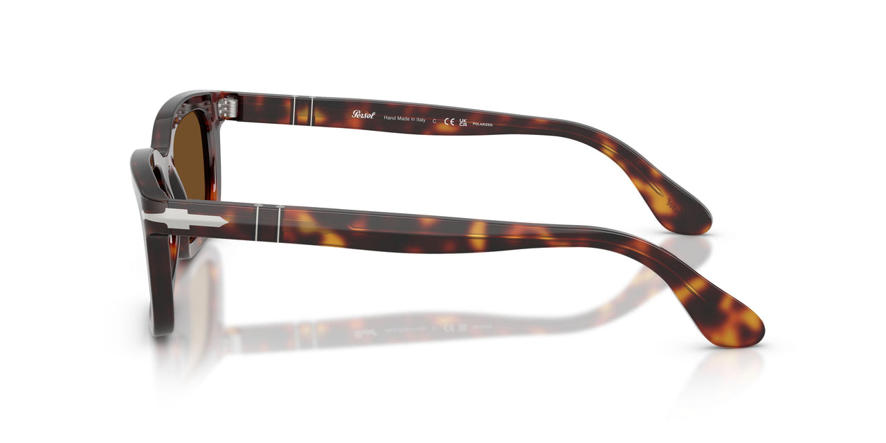 24/57 - Tortoise - Polar Brown