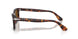 24/57 - Tortoise - Polar Brown