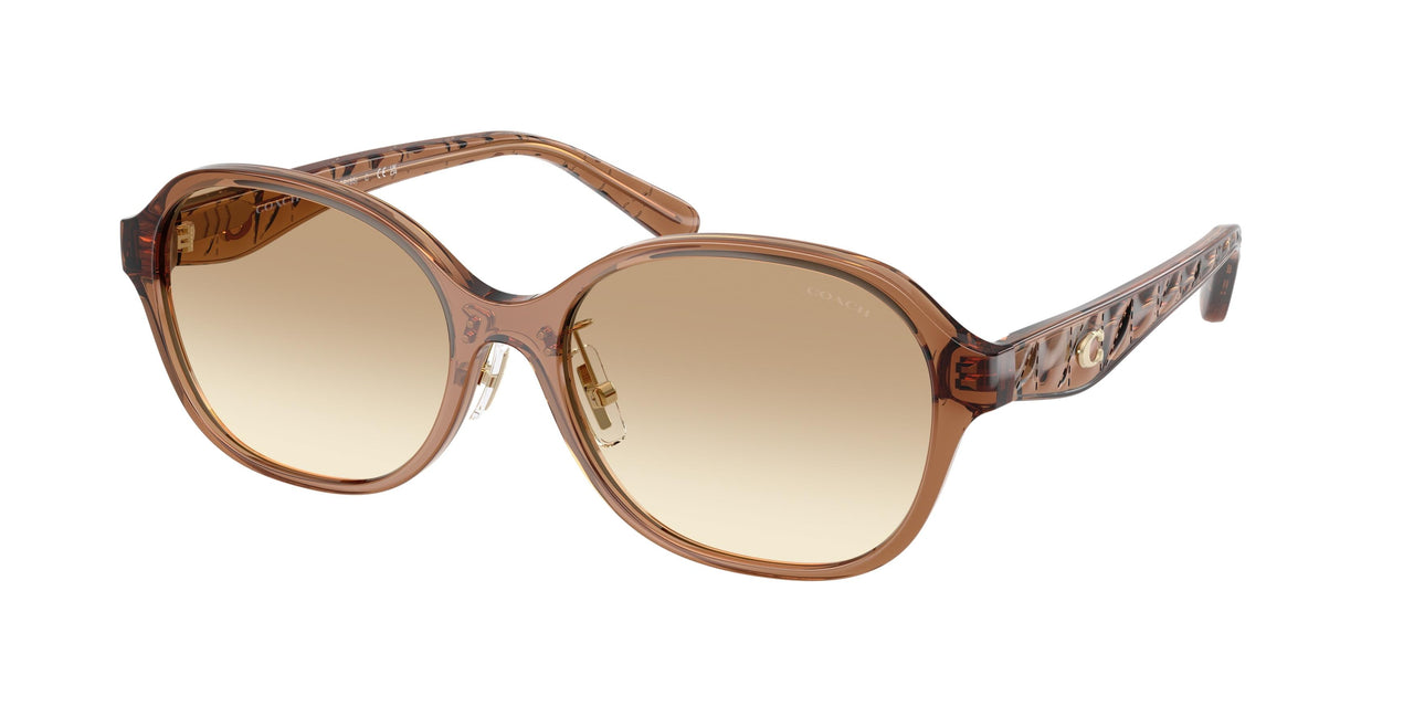 Coach Cby85 8445D Sunglasses