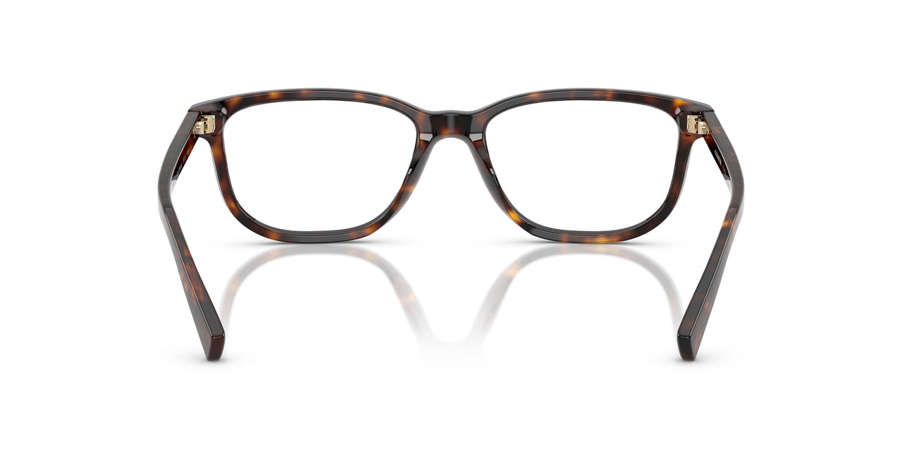 5893 - Tortoise