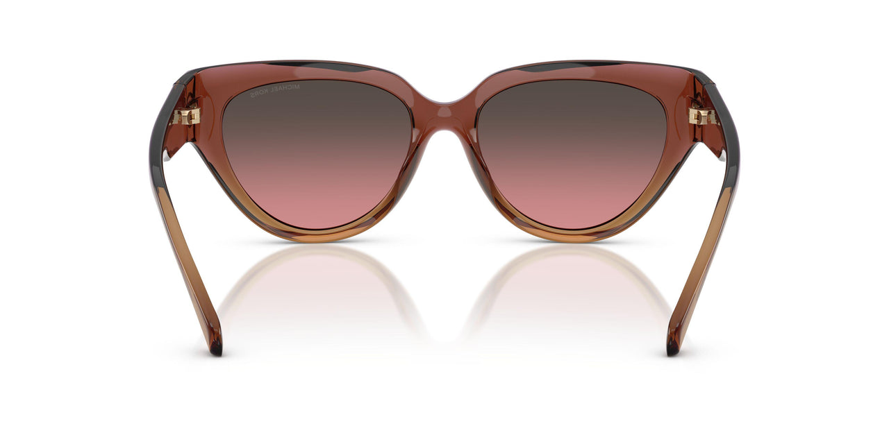 325611 - Pink - Brown Rose Gradient