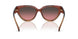 325611 - Pink - Brown Rose Gradient