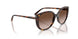 W65613 - Brown - Gradient Brown