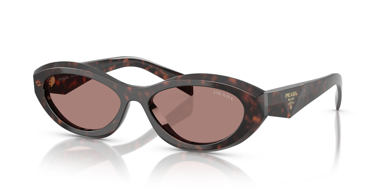 17N60B - Tortoise - Light Brown