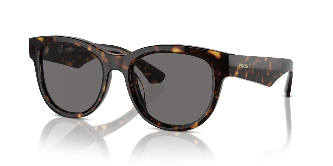 300281 - Brown - Dark Grey Polarized