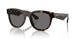 300281 - Brown - Dark Grey Polarized