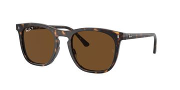 Ray-Ban 2210F Sunglasses