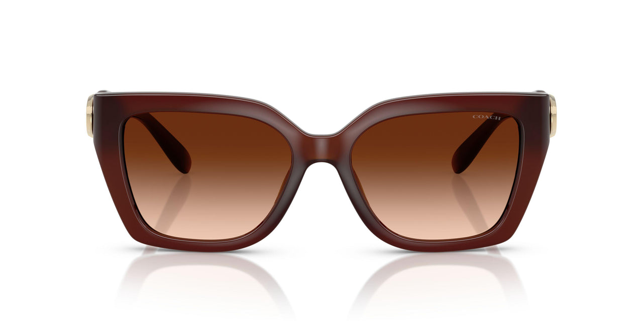 584174 - Brown - Brown Gradient