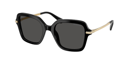 Swarovski 6040 Sunglasses