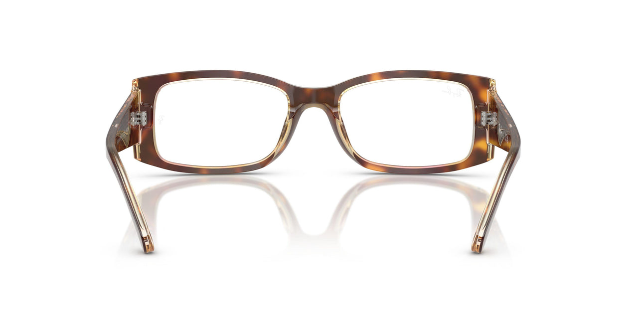 8402 - Tortoise - Clear