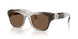 112373 - Brown - Dark Brown