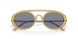 641119 - Brown - Blue