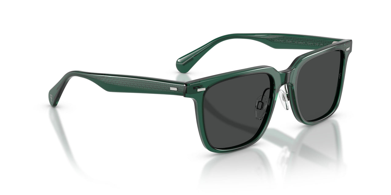 176387 - Green - Dark Slate