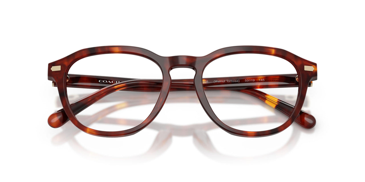 5938 - Tortoise