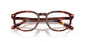 5938 - Tortoise