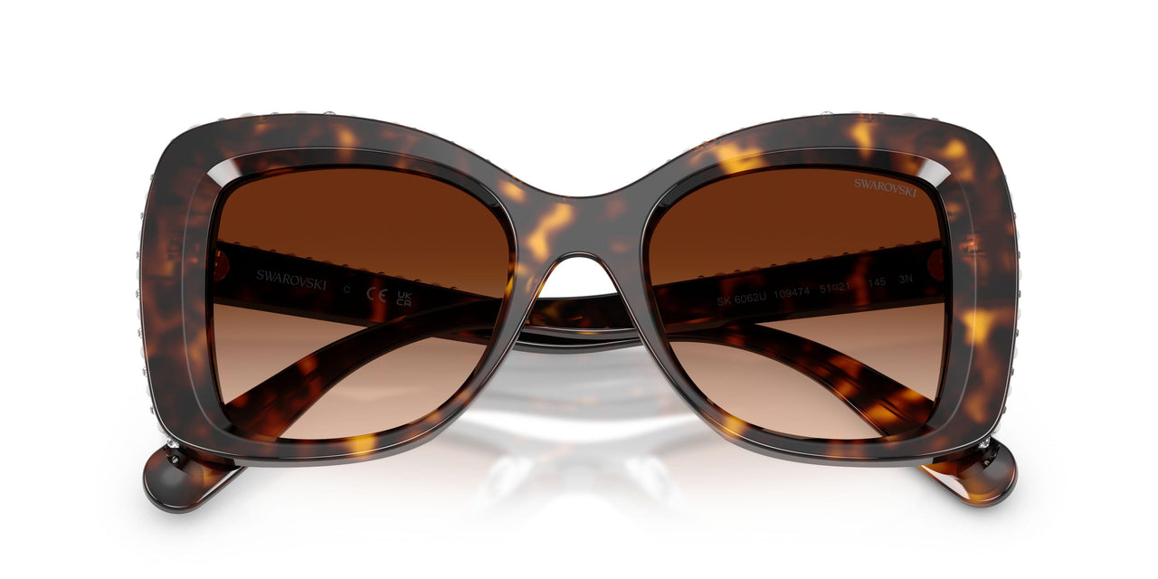 109474 - Tortoise - Gradient Brown