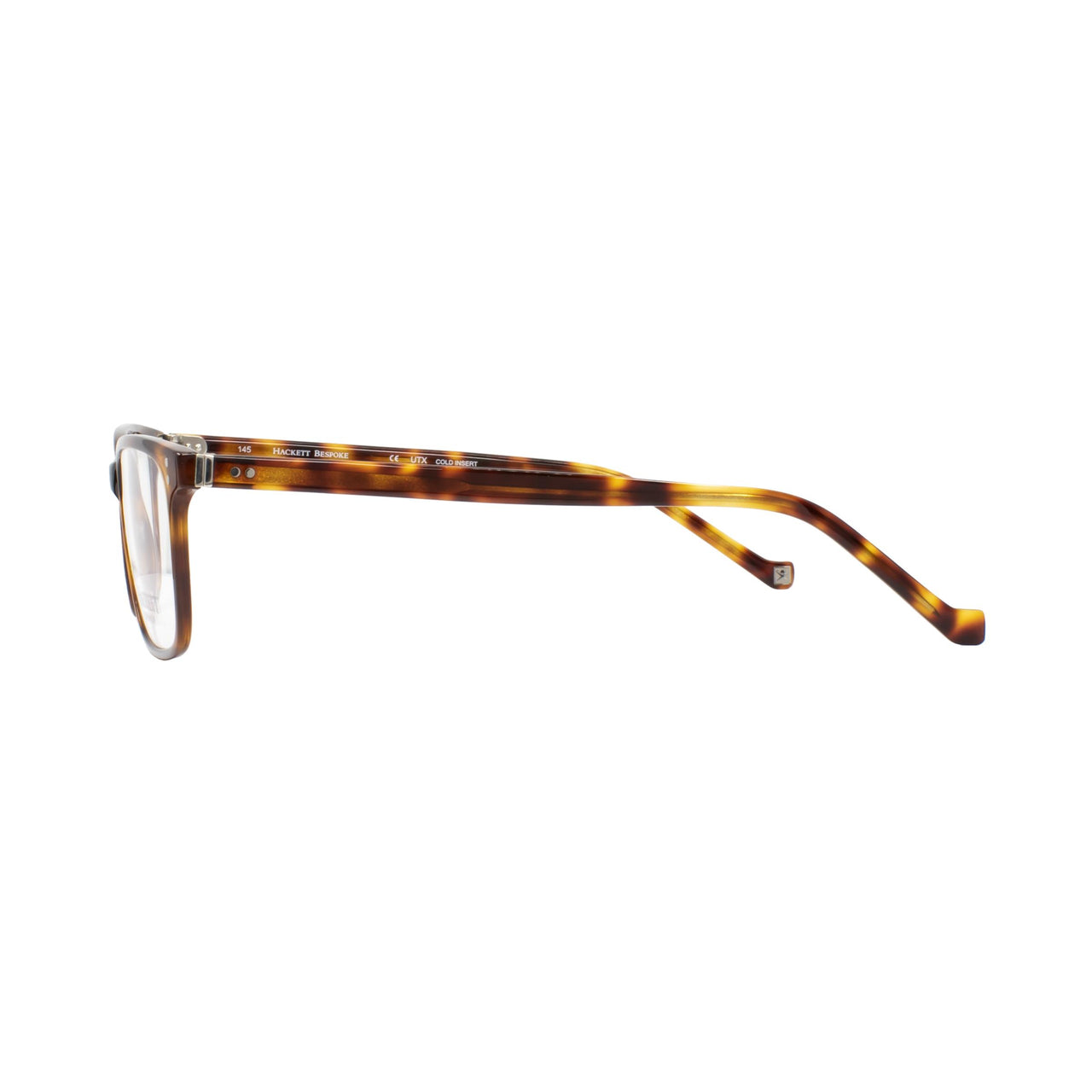 100 - Brown Tortoise