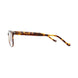 100 - Brown Tortoise