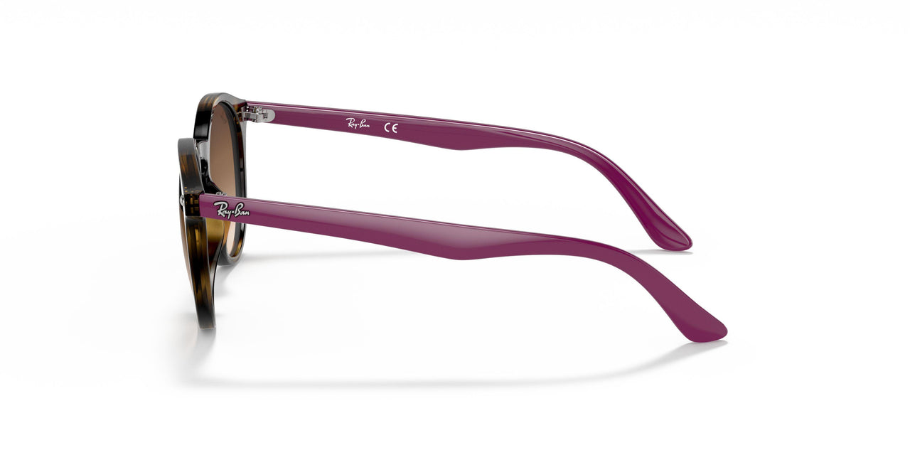 706468 - Transparent Fuxia - Violet Gradient Brown